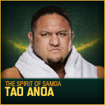 Bomber 134 : Samoan versus champion Tao_anoa
